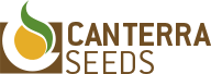 canterra_logo_color